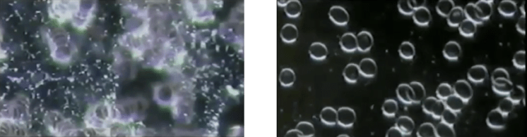 Cellular cleanse - Deeper challenge