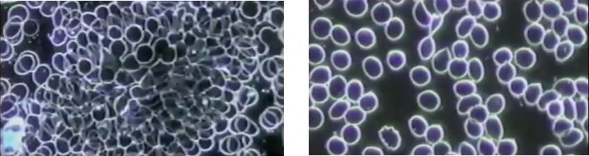 Cellular cleanse - Exposed to chemical or something