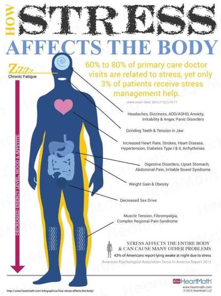 How Stress Impacts the Body