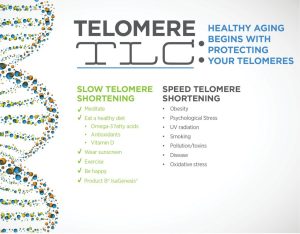 Telomere TLC
